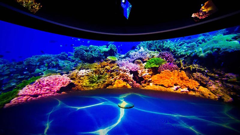 P2.5 Immersive LED Display: Dive You into Underwater Scenic Views