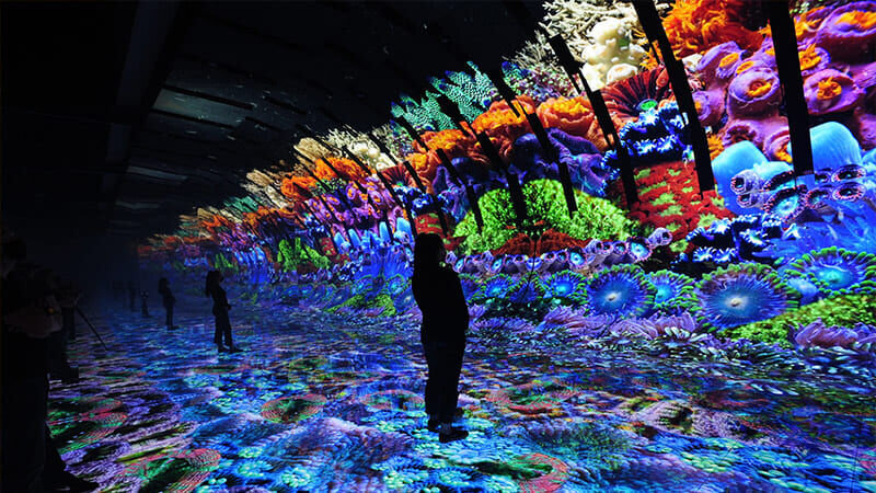 Tunnel LED Screen Supplier Milestrong Brings You An All-Encompassing Immersive Experience