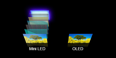 Mini LED vs. OLED: Which Display Technology Reigns Supreme?
